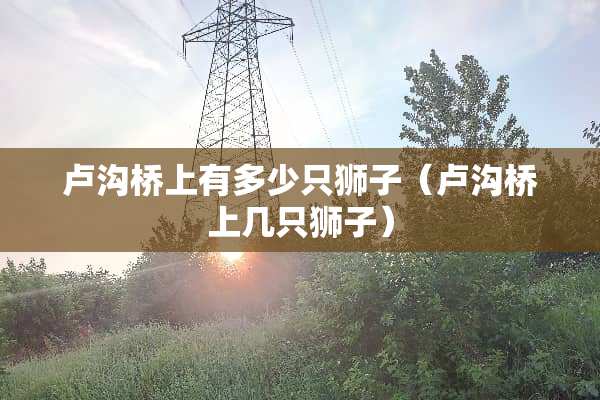 卢沟桥上有多少只狮子（卢沟桥上几只狮子）