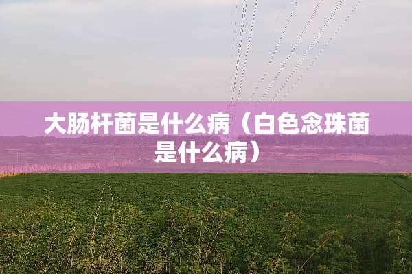 大肠杆菌是什么病(白色念珠菌是什么病) 大肠杆菌是什么病(白色念珠菌是什么病)