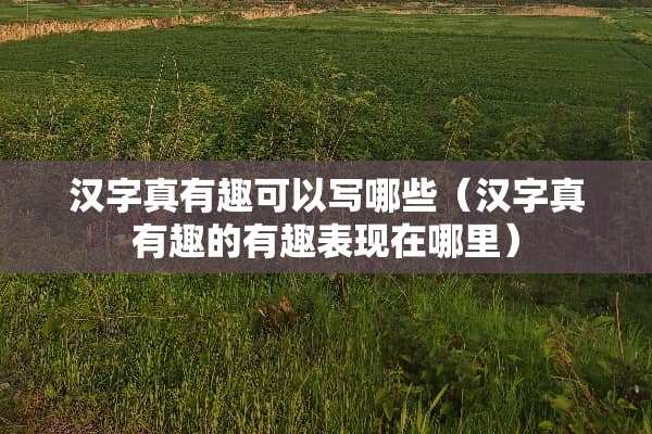汉字真有趣可以写哪些（汉字真有趣的有趣表现在哪里）