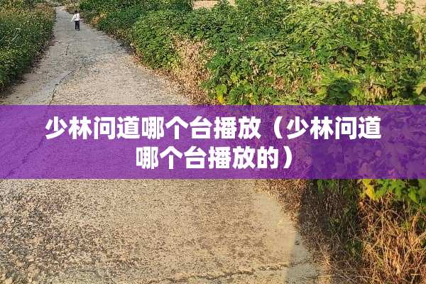 少林问道哪个台播放（少林问道哪个台播放的）