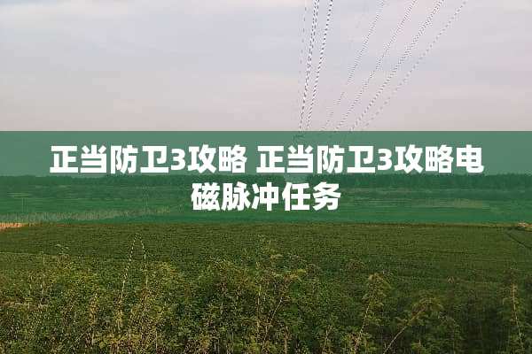 正当防卫3攻略 正当防卫3攻略电磁脉冲任务