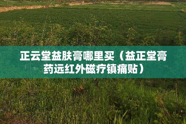 正云堂益肤膏哪里买(益正堂膏药远红外磁疗镇痛贴) 正云堂益肤膏哪里买(益正堂膏药远红外磁疗镇痛贴)