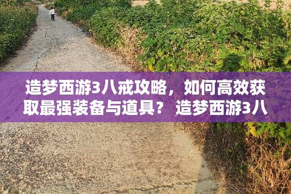 造梦西游3八戒攻略，如何高效获取最强装备与道具？ 造梦西游3八戒攻略