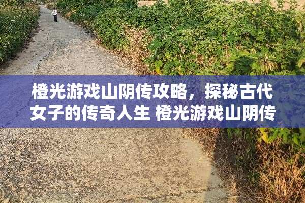 橙光游戏山阴传攻略，探秘古代女子的传奇人生 橙光游戏山阴传攻略