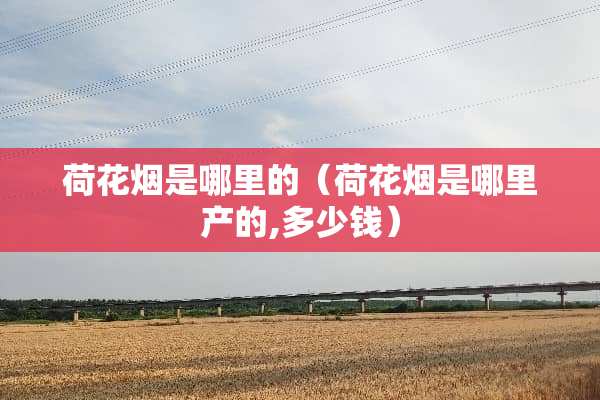 荷花烟是哪里的（荷花烟是哪里产的,多少钱）