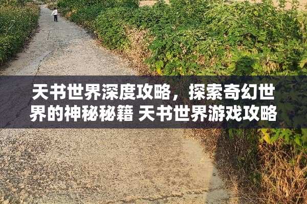 天书世界深度攻略，探索奇幻世界的神秘秘籍 天书世界游戏攻略