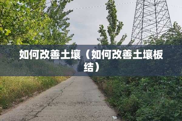 如何改善土壤（如何改善土壤板结）