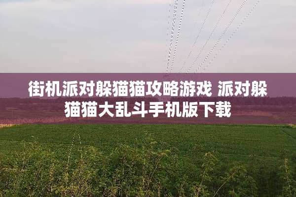 街机派对***攻略游戏 派对***大乱斗手机版下载