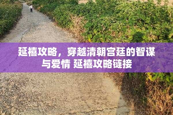 延禧攻略，穿越清朝宫廷的智谋与爱情 延禧攻略链接