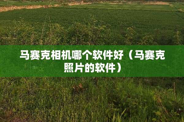 马赛克相机哪个软件好（马赛克照片的软件）