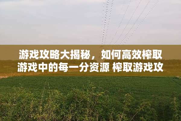 游戏攻略大揭秘，如何高效榨取游戏中的每一分资源 榨取游戏攻略