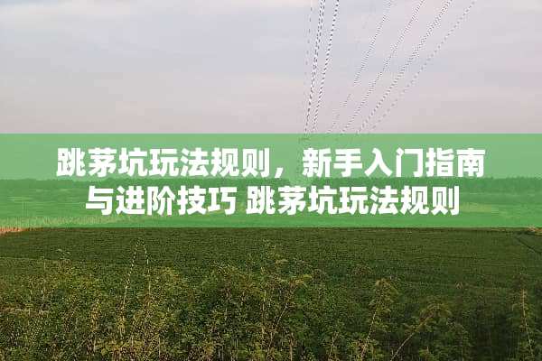 跳茅坑玩法规则，新手入门指南与进阶技巧 跳茅坑玩法规则