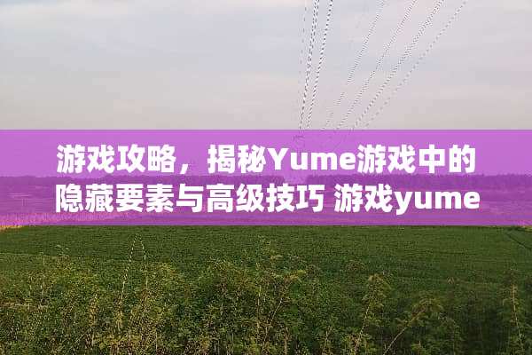 游戏攻略,揭秘Yume游戏中的隐藏要素与高级技巧 游戏yume攻略