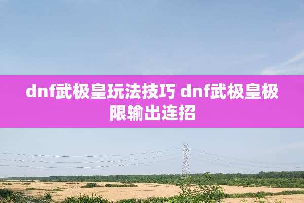 dnf武极皇玩法技巧 dnf武极皇极限输出连招