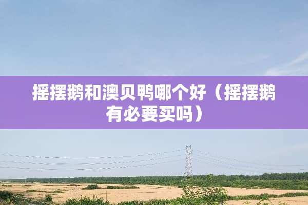 摇摆鹅和澳贝鸭哪个好（摇摆鹅有必要买吗）