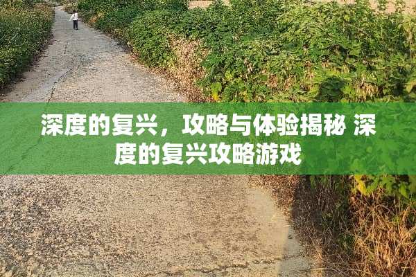 深度的复兴,攻略与体验揭秘 深度的复兴攻略游戏 深度的复兴,攻略与体验揭秘 深度的复兴攻略游戏