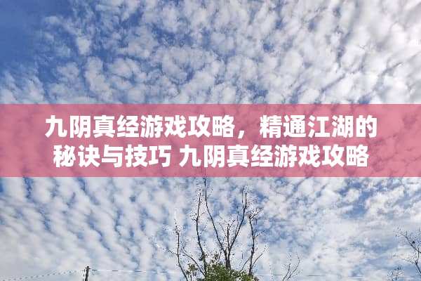 九*真经游戏攻略,精通江湖的秘诀与技巧 九*真经游戏攻略 九*真经游戏攻略,精通江湖的秘诀与技巧 九*真经游戏攻略
