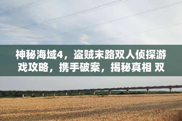 神秘海域4，盗贼末路双人侦探游戏攻略，携手破案，揭秘真相 双人侦探游戏攻略