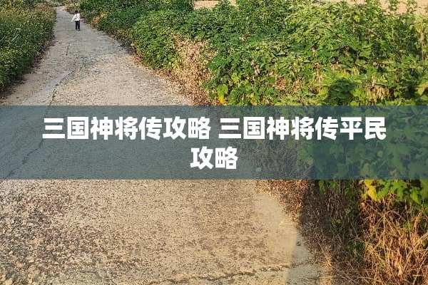 三国神将传攻略 三国神将传平民攻略