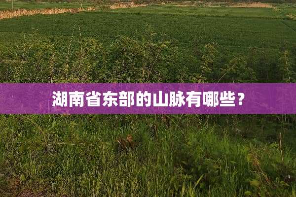 湖南省东部的山脉有哪些？