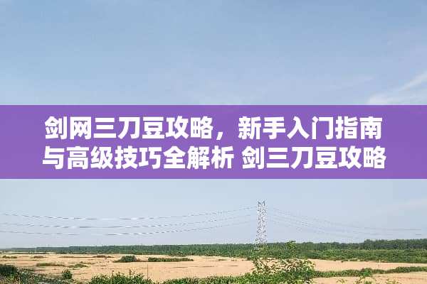剑网三刀豆攻略，新手入门指南与高级技巧全解析 剑三刀豆攻略