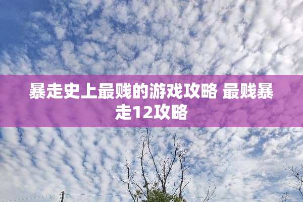 暴走史上最贱的游戏攻略 最贱暴走12攻略