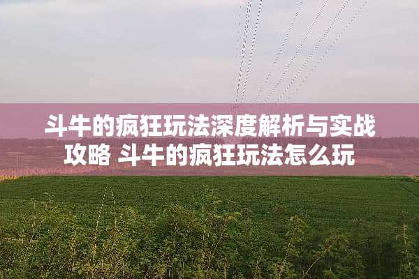 斗牛的疯狂玩法深度解析与实战攻略 斗牛的疯狂玩法怎么玩