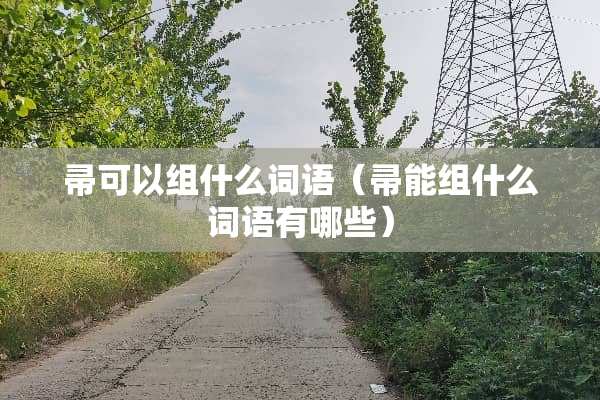 帚可以组什么词语（帚能组什么词语有哪些）