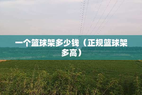 一个篮球架多少钱（正规篮球架多高）