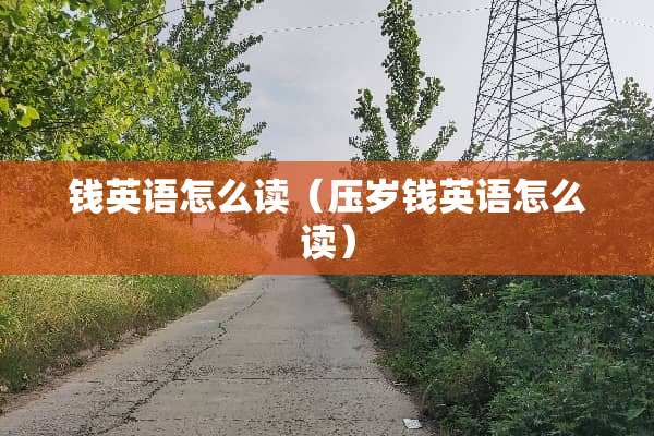 钱英语怎么读（压岁钱英语怎么读）
