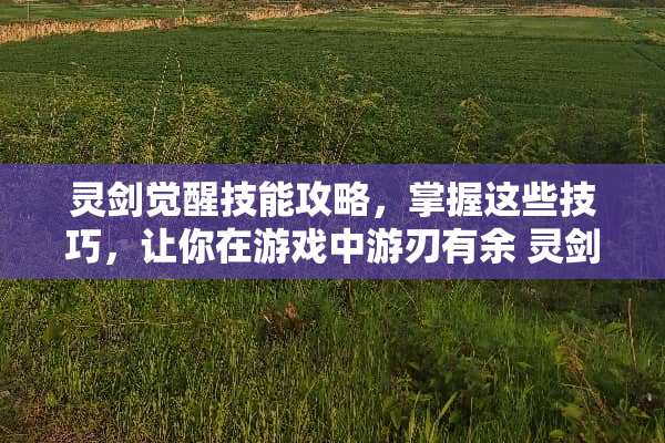灵剑觉醒技能攻略，掌握这些技巧，让你在游戏中游刃有余 灵剑觉醒技能