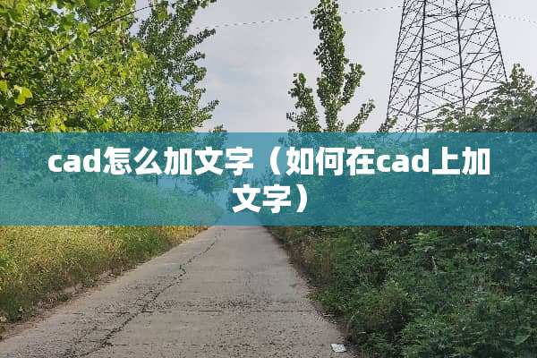 cad怎么加文字(如何在cad上加文字) cad怎么加文字(如何在cad上加文字)