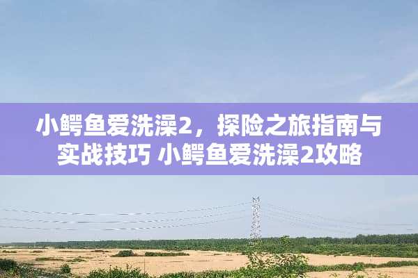 小鳄鱼爱洗澡2，探险之旅指南与实战技巧 小鳄鱼爱洗澡2攻略