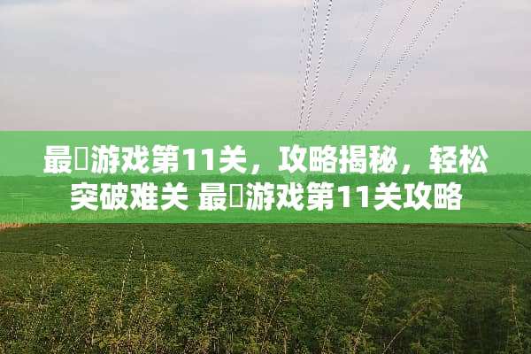 最囧游戏第11关，攻略揭秘，轻松突破难关 最囧游戏第11关攻略