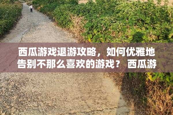 西瓜游戏退游攻略，如何优雅地告别不那么喜欢的游戏？ 西瓜游戏退游攻略