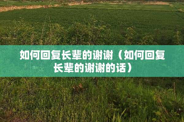 如何回复长辈的谢谢(如何回复长辈的谢谢的话) 如何回复长辈的谢谢(如何回复长辈的谢谢的话)