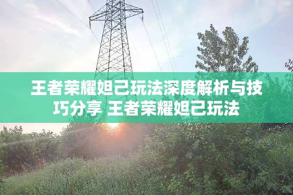 王者荣耀妲己玩法深度解析与技巧分享 王者荣耀妲己玩法