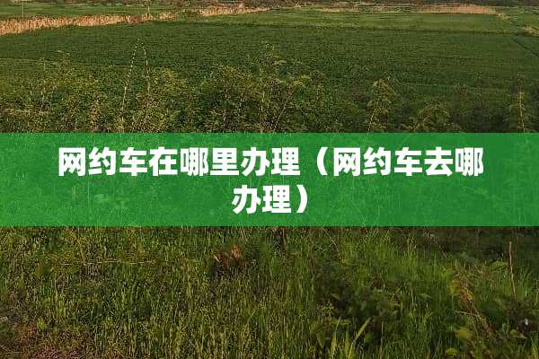 网约车在哪里办理（网约车去哪办理）