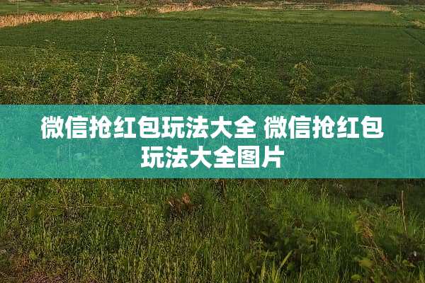 微信抢红包玩法大全 微信抢红包玩法大全图片