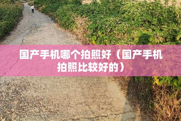 国产手机哪个拍照好（国产手机拍照比较好的）