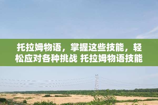 托拉姆物语，掌握这些技能，轻松应对各种挑战 托拉姆物语技能