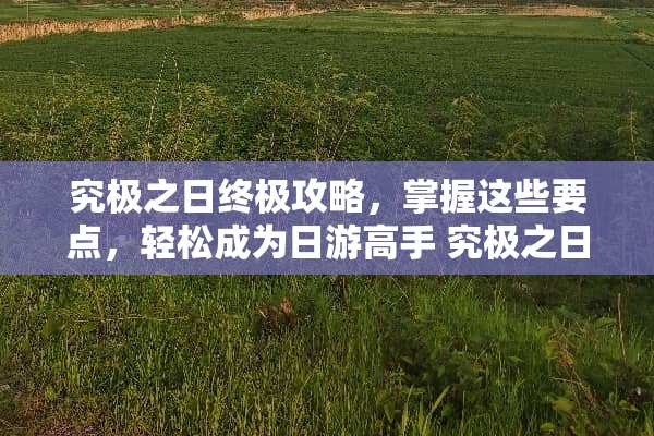 究极之日终极攻略，掌握这些要点，轻松成为日游高手 究极之日攻略