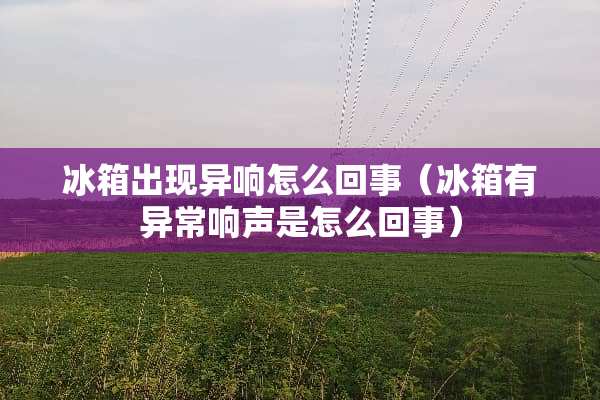 冰箱出现异响怎么回事（冰箱有异常响声是怎么回事）