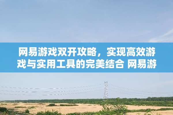 网易游戏双开攻略,实现高效游戏与实用工具的完美结合 网易游戏双开攻略 网易游戏双开攻略,实现高效游戏与实用工具的完美结合 网易游戏双开攻略