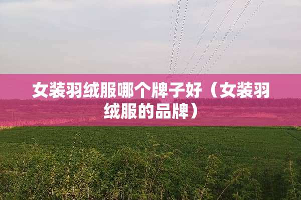 女装羽绒服哪个牌子好(女装羽绒服的品牌) 女装羽绒服哪个牌子好(女装羽绒服的品牌)