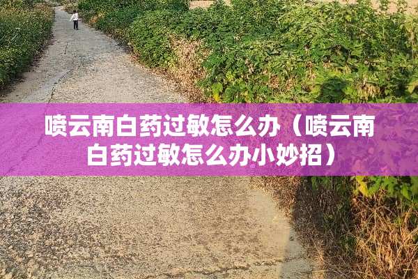 喷云南白药过敏怎么办(喷云南白药过敏怎么办小妙招) 喷云南白药过敏怎么办(喷云南白药过敏怎么办小妙招)