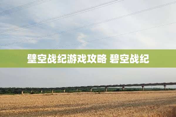 壁空战纪游戏攻略 碧空战纪