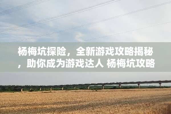 杨梅坑探险，全新游戏攻略揭秘，助你成为游戏达人 杨梅坑攻略游戏