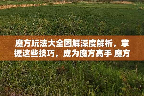 魔方玩法大全图解深度解析,掌握这些技巧,成为魔方高手 魔方玩法大全图解