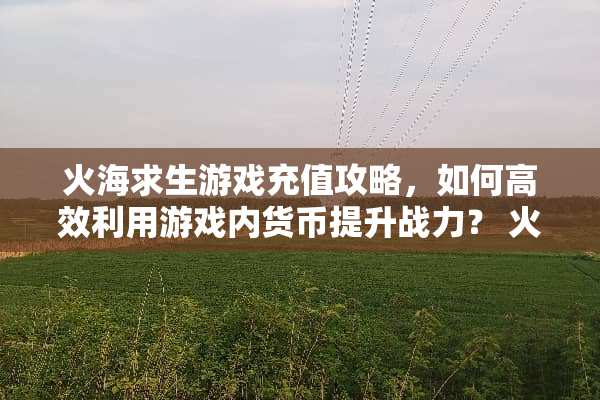 火海求生游戏充值攻略，如何高效利用游戏内货币提升战力？ 火海求生游戏充值攻略